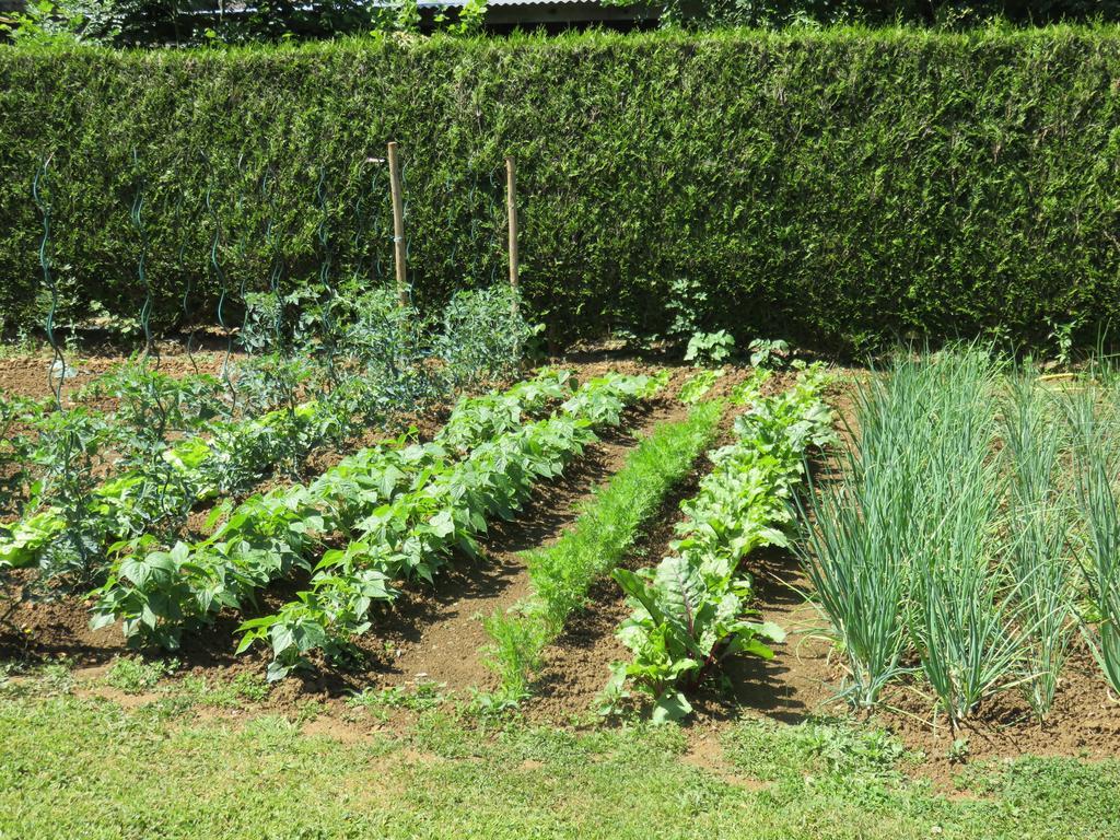Les Quatre Saisons Bed and Breakfast Moitron-sur-Sarthe Buitenkant foto