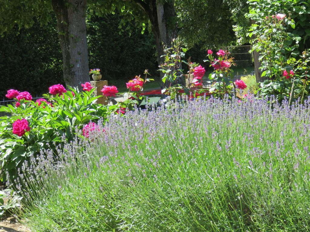Les Quatre Saisons Bed and Breakfast Moitron-sur-Sarthe Buitenkant foto