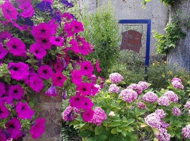 Les Quatre Saisons Bed and Breakfast Moitron-sur-Sarthe Buitenkant foto